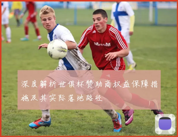 深度解析世俱杯赞助商权益保障措施及其实际落地路径