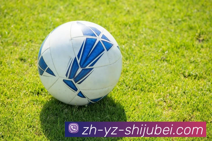 世界杯赛程表平台生态图