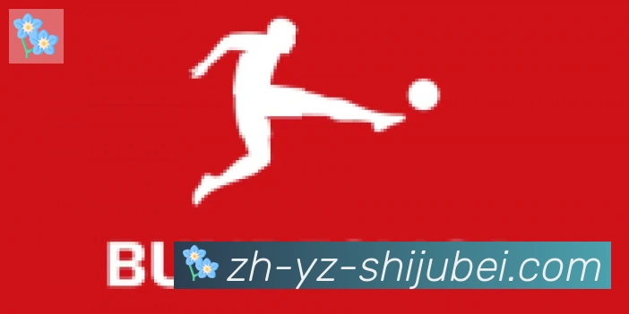 世界杯赛程表合作伙伴