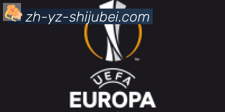 世界杯赛程表合作伙伴