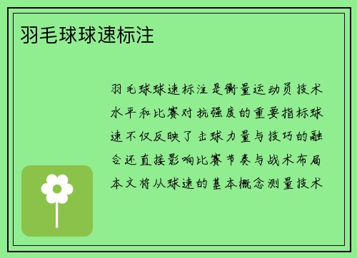 羽毛球球速标注