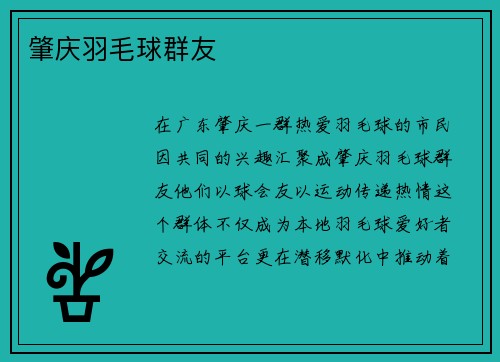 肇庆羽毛球群友